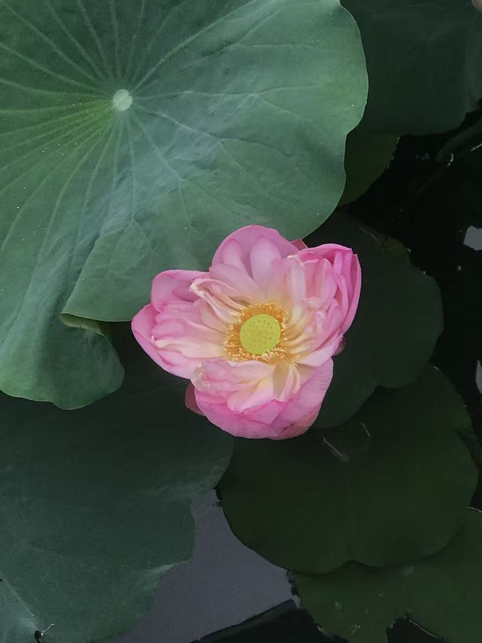 2003网站太阳集团-首页(接待您!)